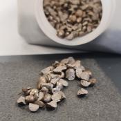 Figure 2: Standardized test specimens for the stone-impact test on a test plate