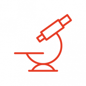 Investigación y desarrollo